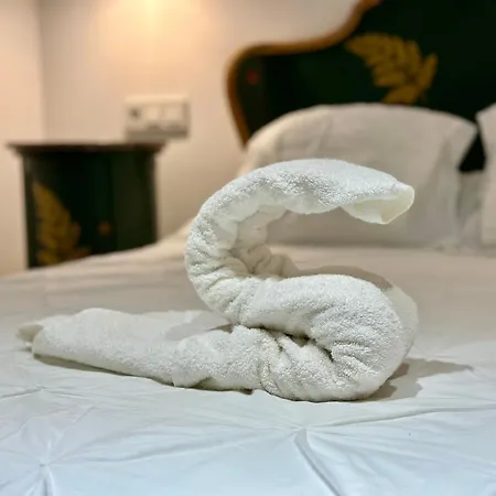 Nebro Luna Кадис